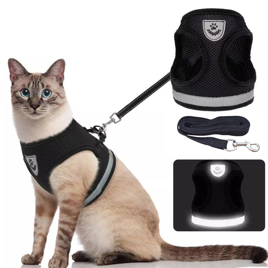 Breathable Cat Harness And Leash Escape Proof Pet Clothes Kitten Puppy